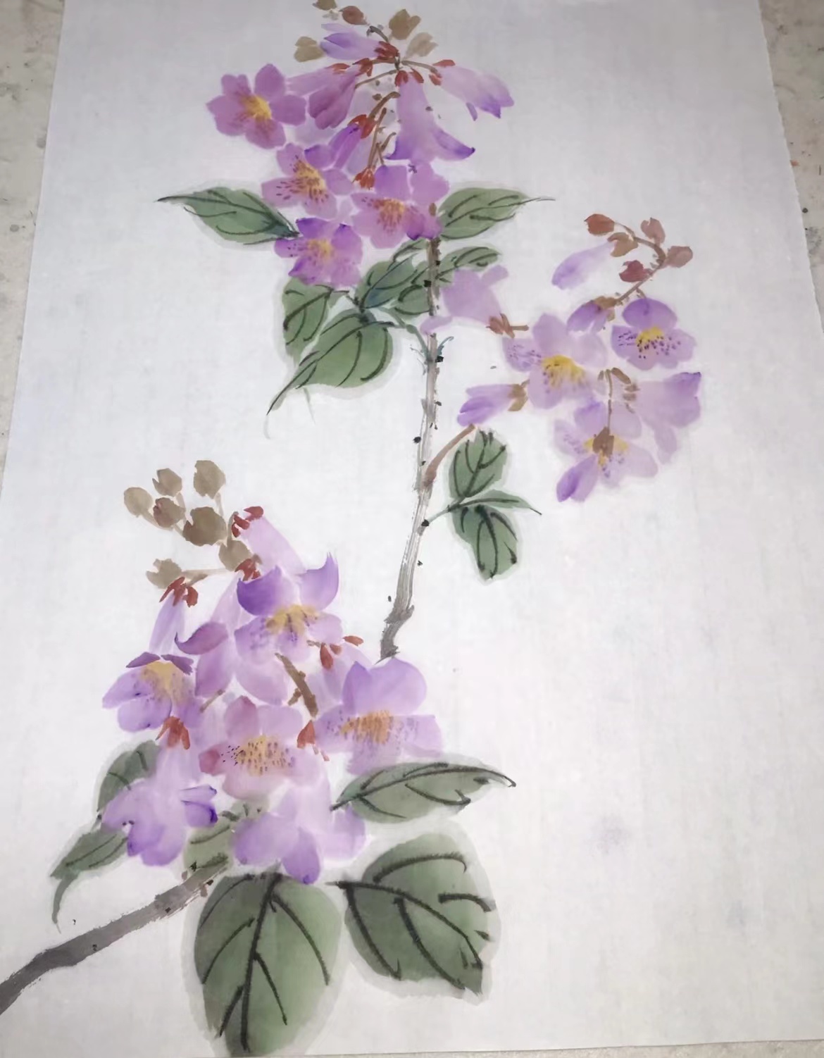 梧桐花绘画图片，梧桐花图案简笔画