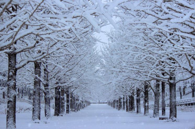 美如仙境的雪景图片