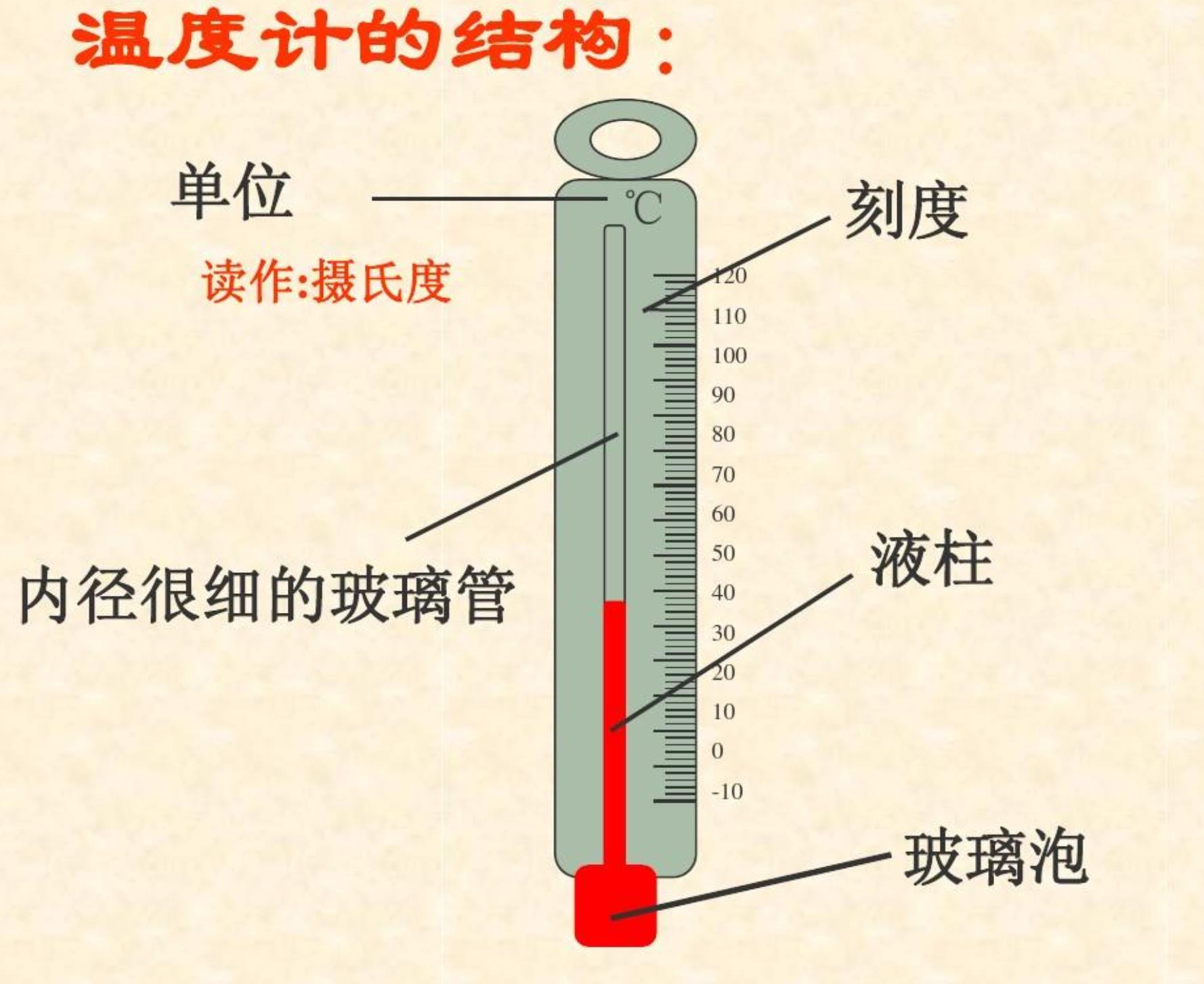 一张图看懂水银温度计，温度计怎么看正确图解