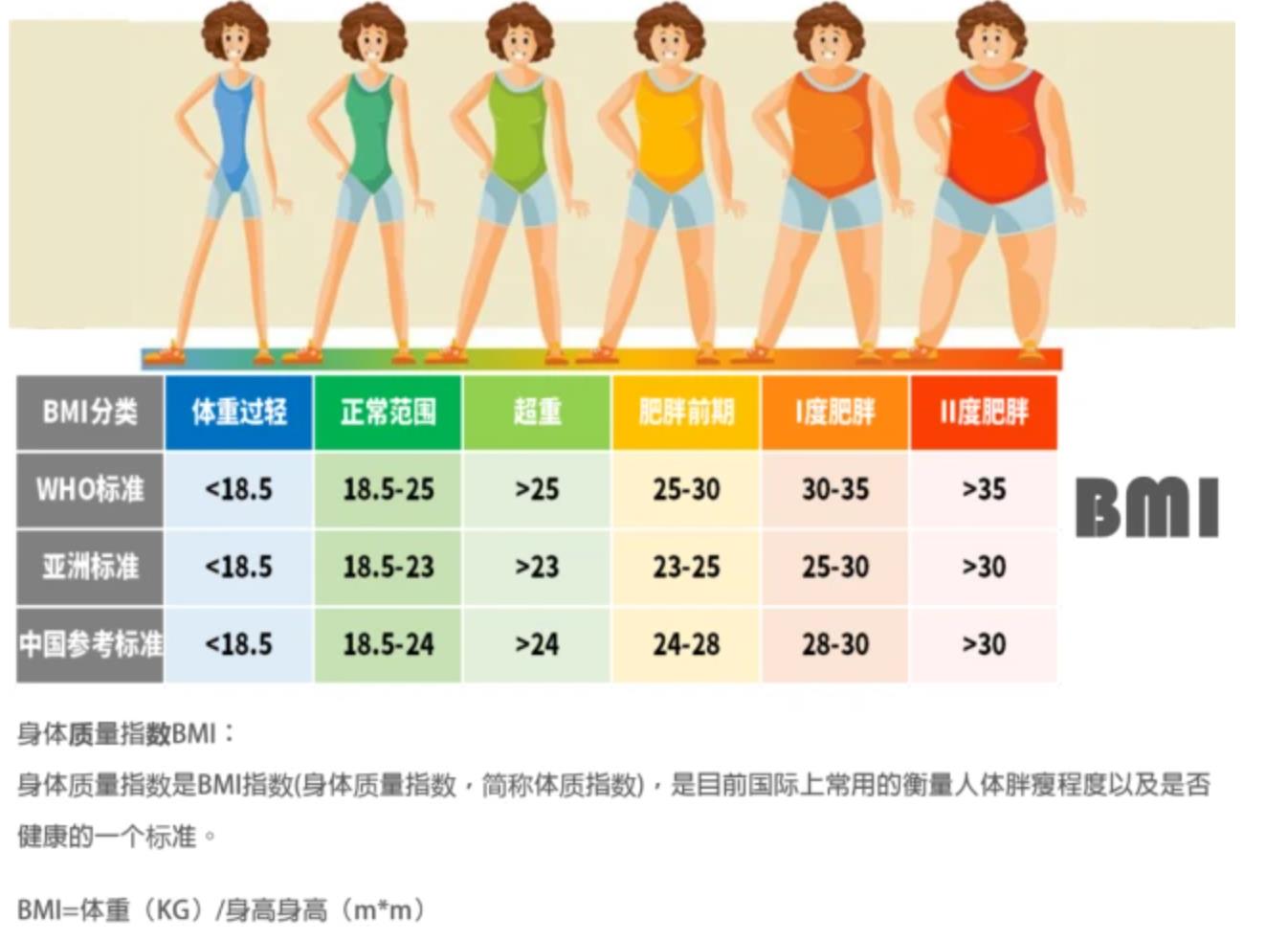  一张图了解女性bmi