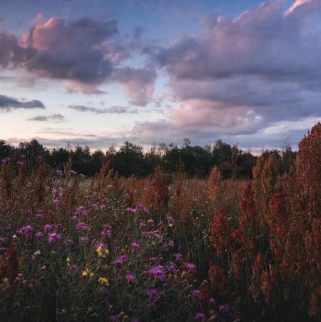 桀驁不馴又霸氣的圖片,冷漠到極致的背景圖