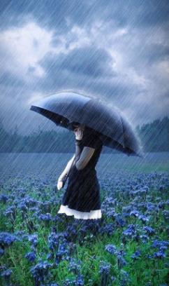雨中的女人背影图片