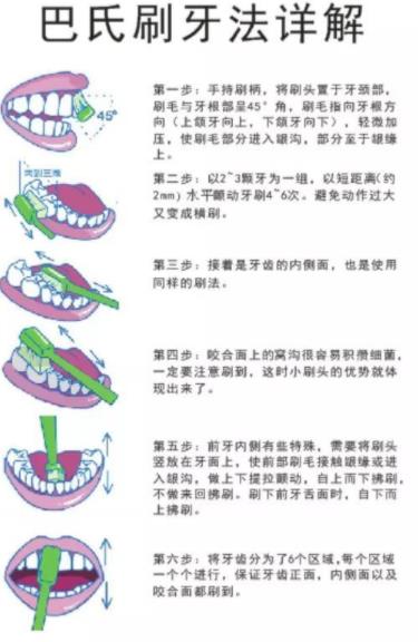 巴氏刷牙法步骤图解，巴氏刷牙法正确步骤