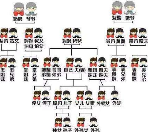 家庭关系的正确顺序图，家庭关系重要性排序图解