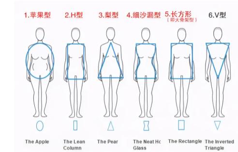 女人身材类型分类12种，身材类型分类图片