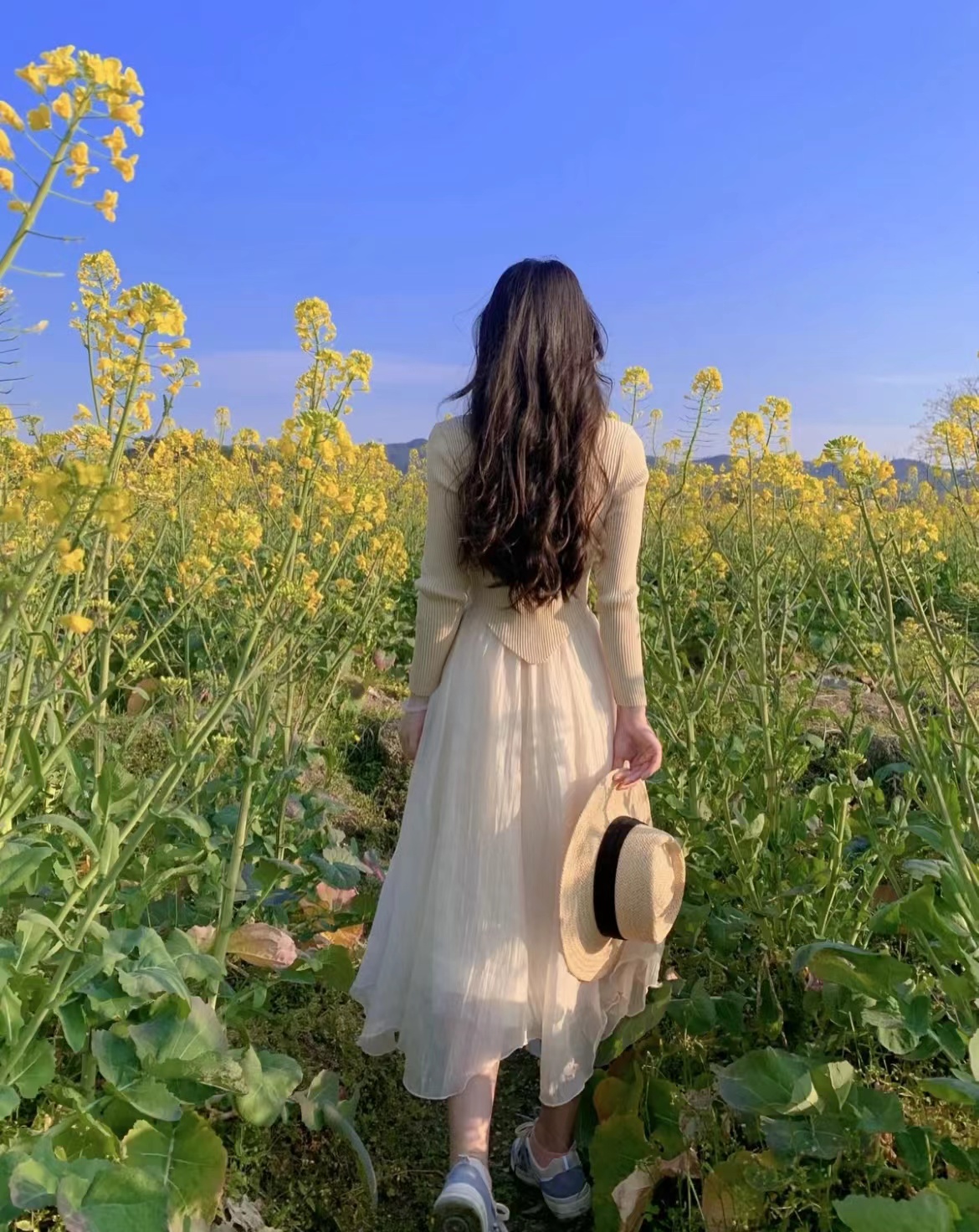 油菜花图片风景，油菜花田女生背影图片