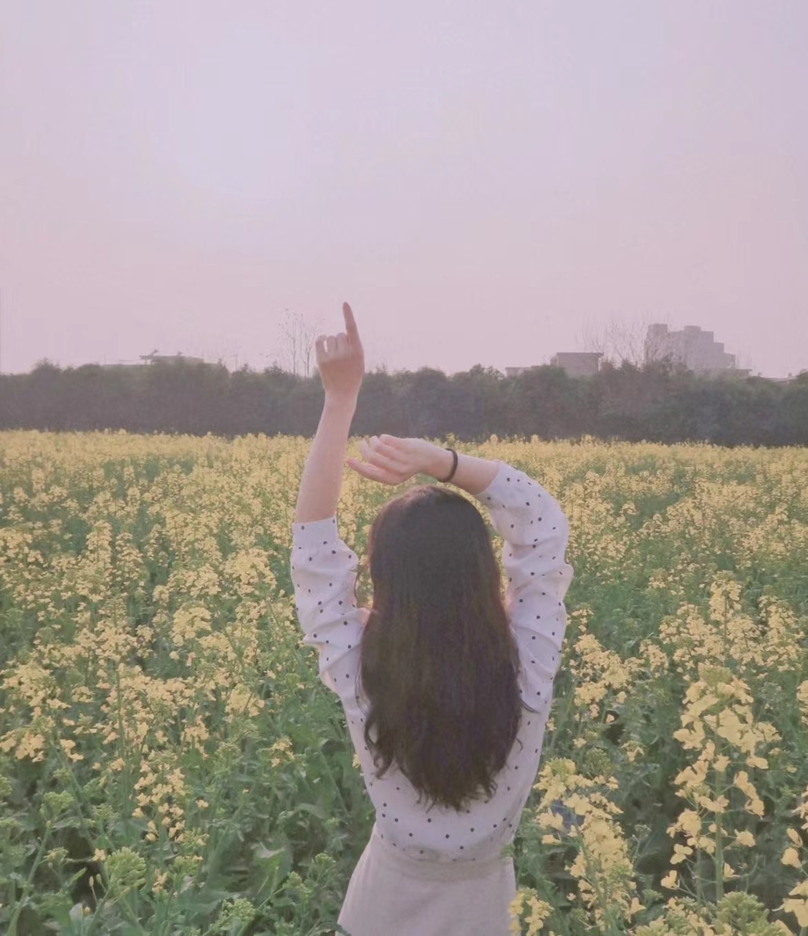 油菜花美女背影图片图片