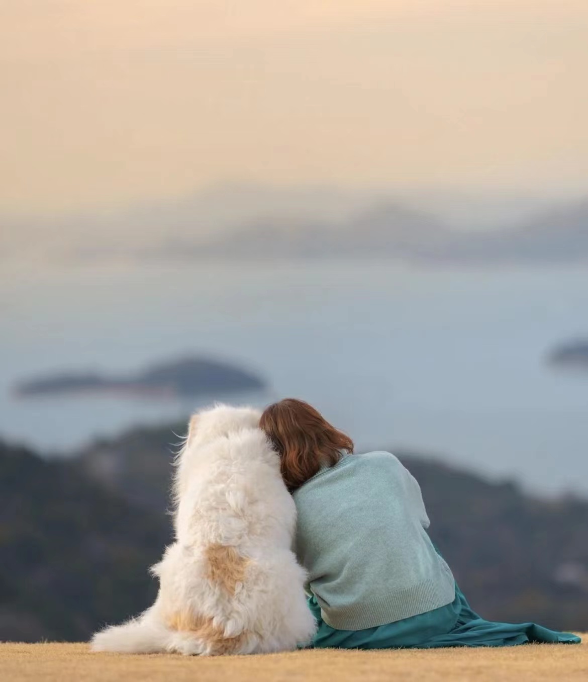 女孩跟一个狗的背影图图片