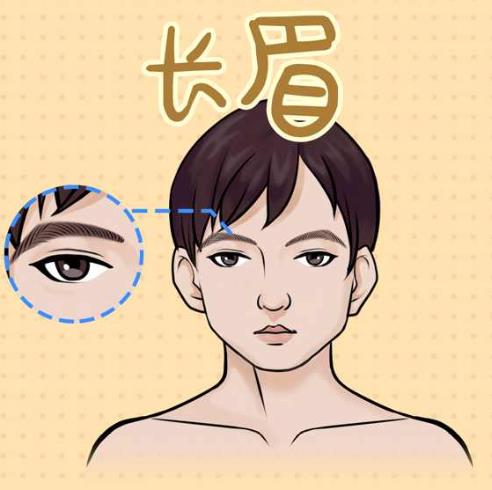 眉毛识人顺口溜大全，男人眉毛看夫妻缘分