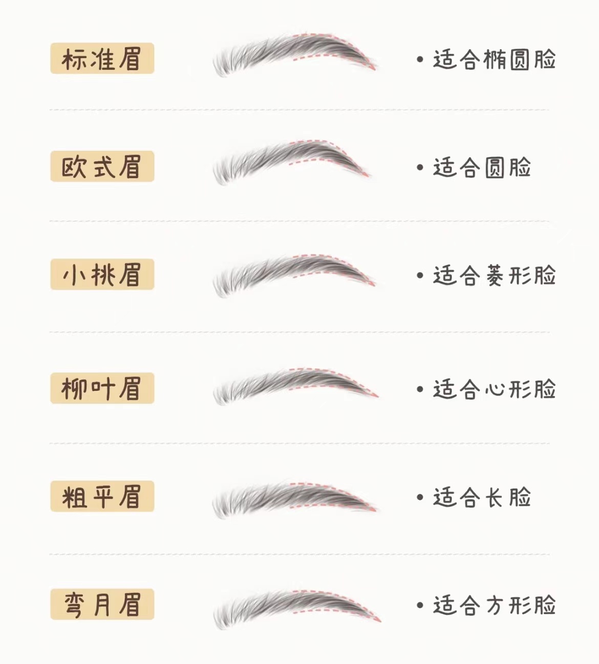 女性眉毛的画法