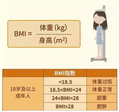 女性bmi的全部照片