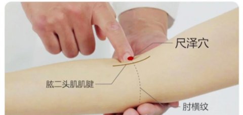 尺泽穴的准确位置，尺泽穴最笨取穴方法图
