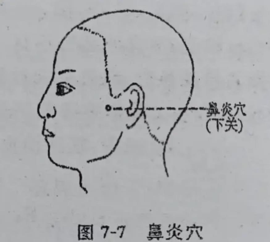 鼻炎穴的准确位置图片