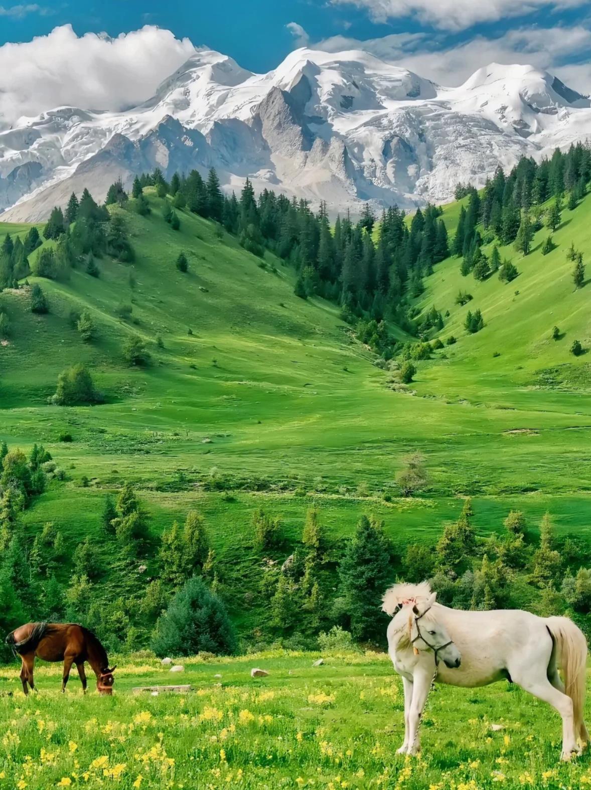 感受大自然的气息和美景